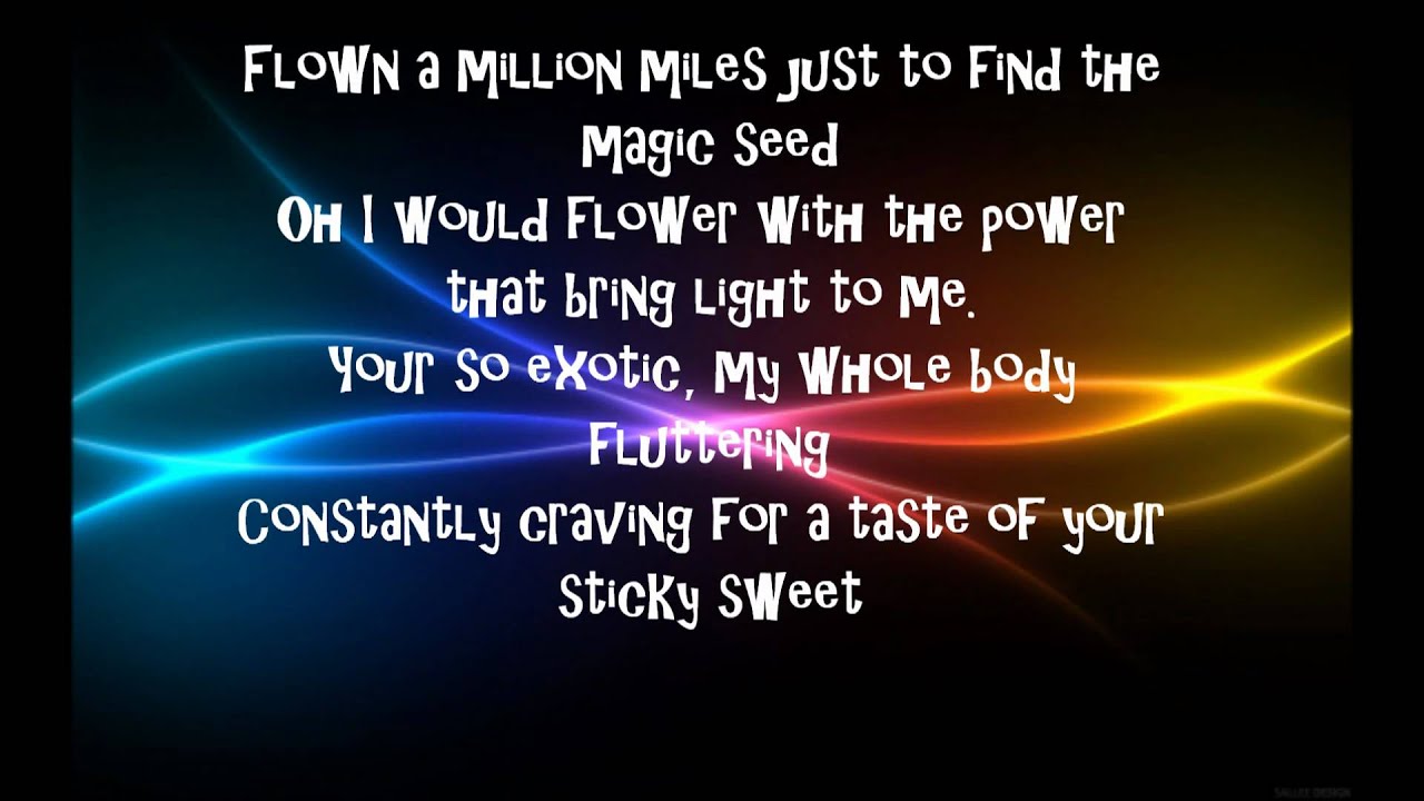 Katy Perry - Hummingbird Heartbeat Lyrics