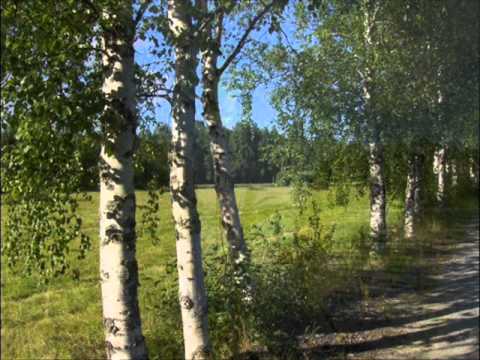 Kauko Käyhkö ~ Suviserenadi