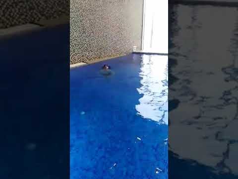 Kayan swimming