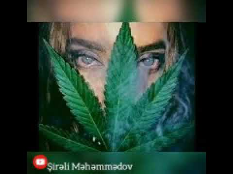 Kazbeke Şey basım Fırlanım