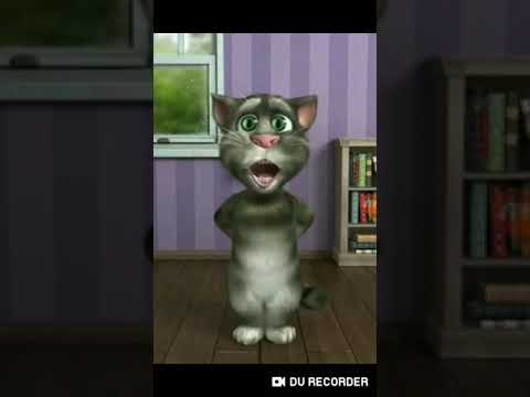 Kedi tom uzun hava söylerse