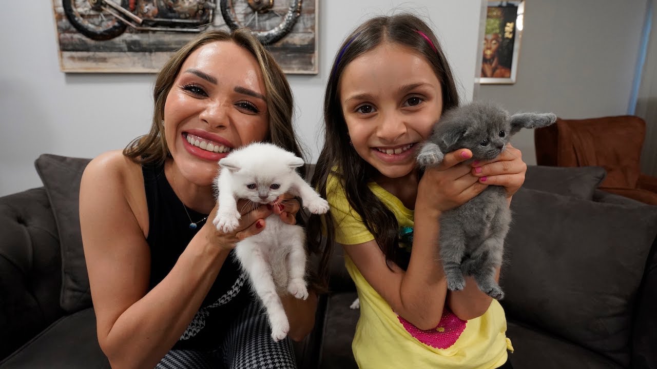KEDİLERİMİZLE VEDALAŞIYORUZ ! LİNA KEDİLERDEN AYRILAMIYOR !