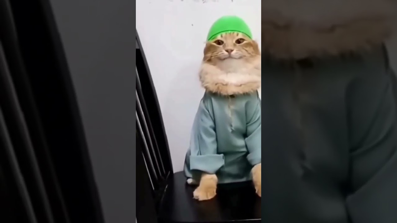 Kedullah