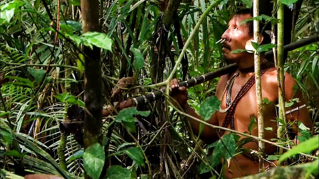 KEHIDUPAN MASYARAKAT DI PEDALAMAN HUTAN AMAZON,JAUH DARI TEKNOLOGI