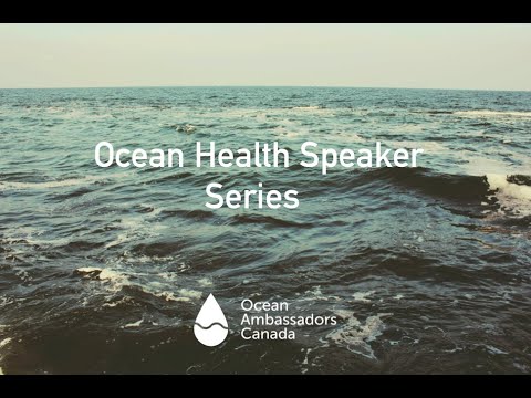 Kelsey Gil Speaker Series June 2021