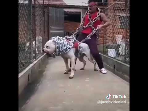 Kerovi!!