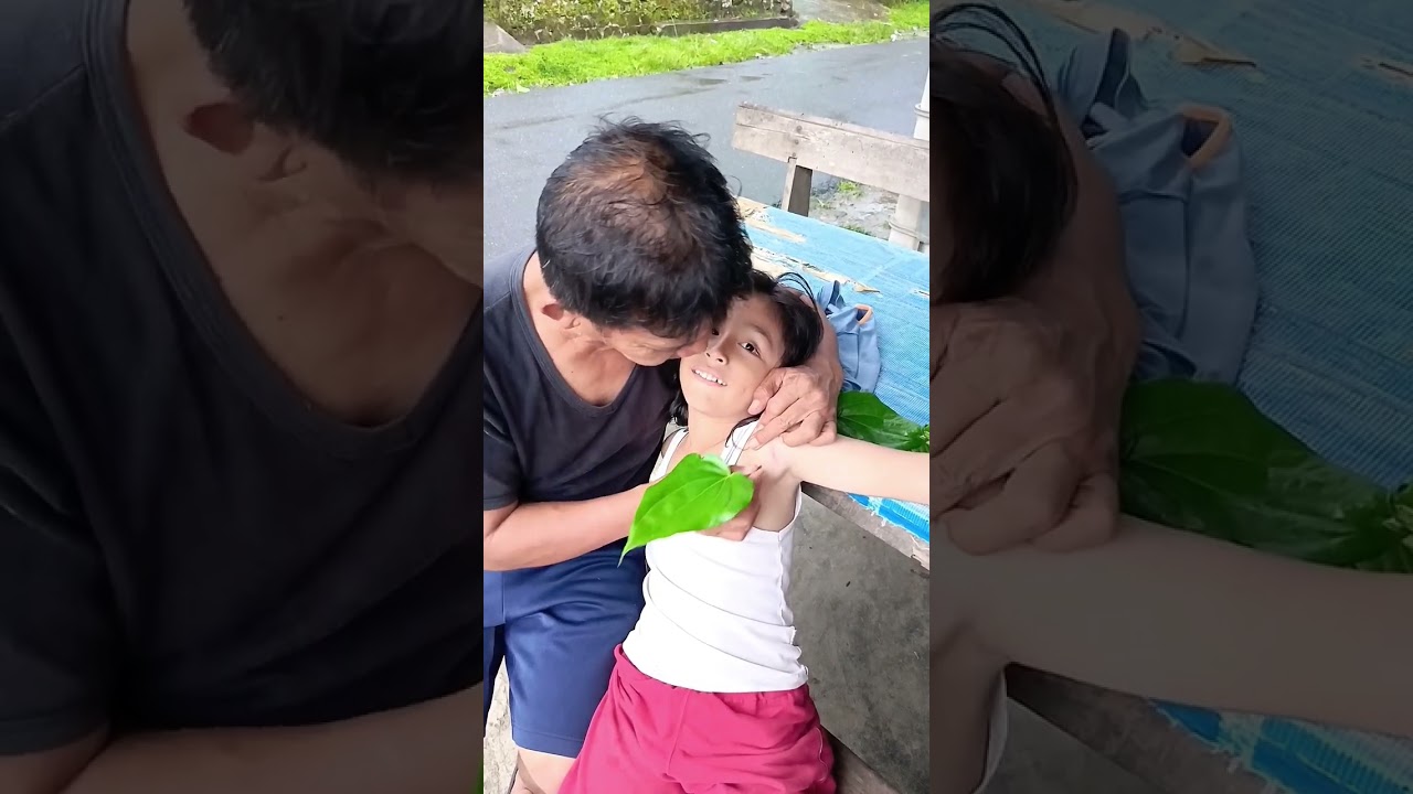 Ketika Ara Digigit Tungir Tongo Di Ketek. Papa Ambil Pake Daun Sirih 🕷☘️