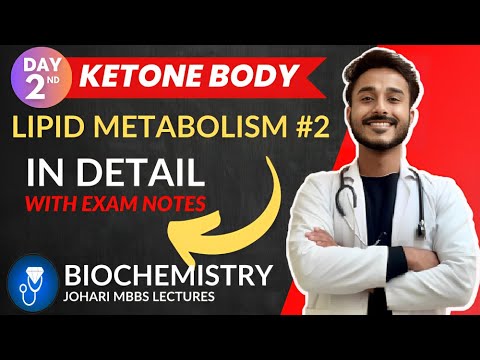 ketone body biochemistry | ketone body metabolism | utilization of ketone bodies | ketogenesis