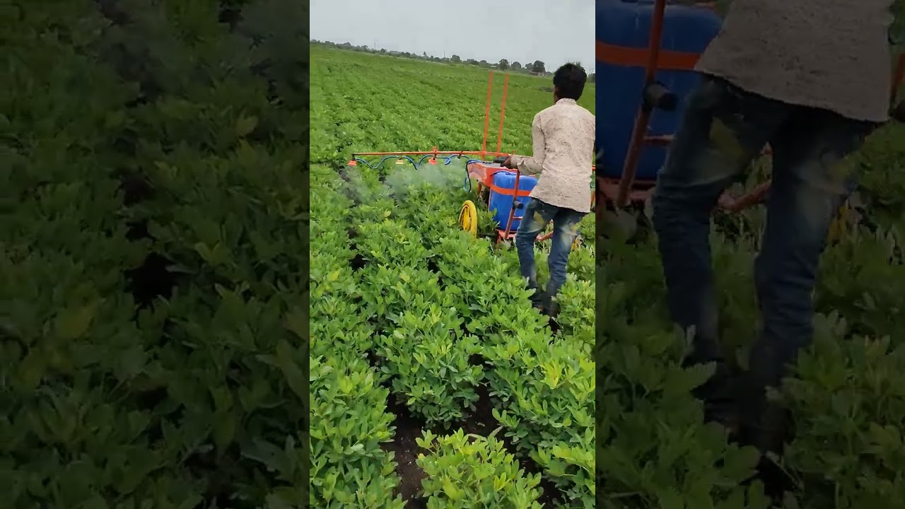 khetme pesticides spread karne ka sabse acha Desi jugad