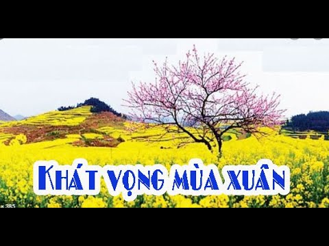 Khát vọng mùa xuân Karaoke. Âm nhạc lớp 8 Sách giáo khoa.
