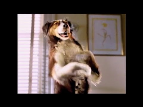 Kibbles 'N Bits - Dance (2003, USA)