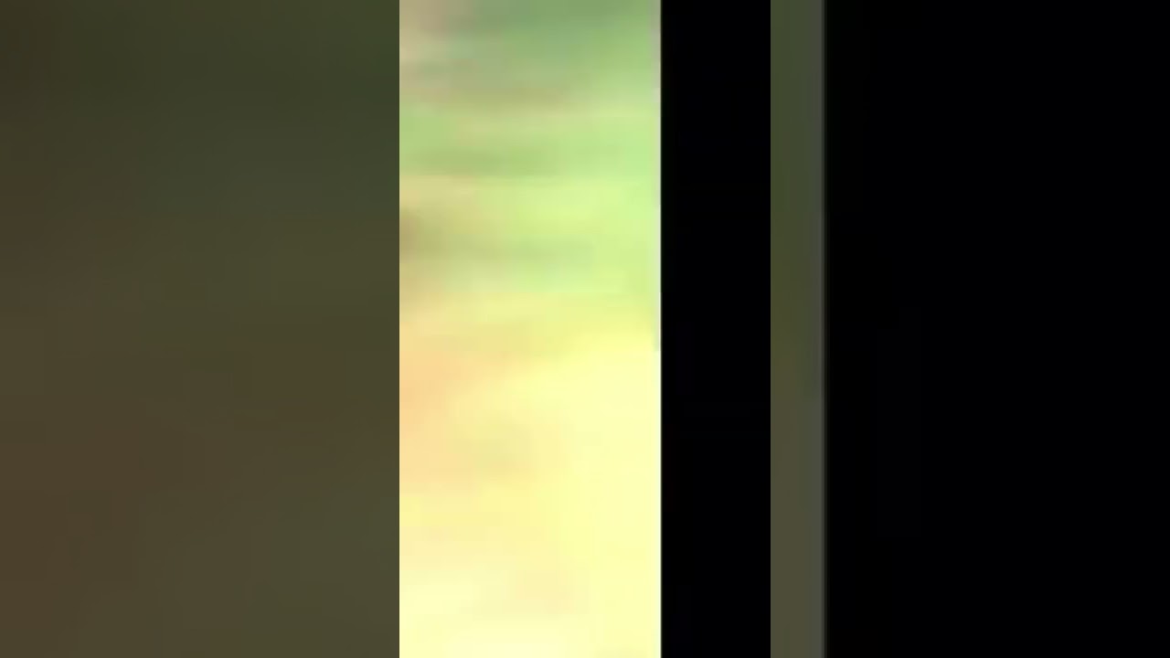 Kid broke camera meme