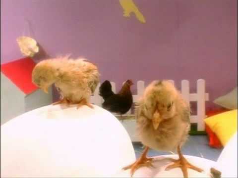 Kids And Pets Chicks