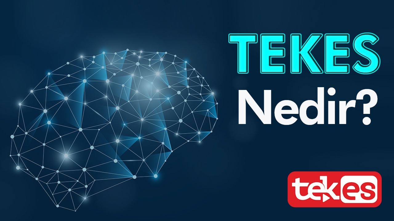 Kişiye Özel Tek Eğitim Sistemi TEKES Nedir?