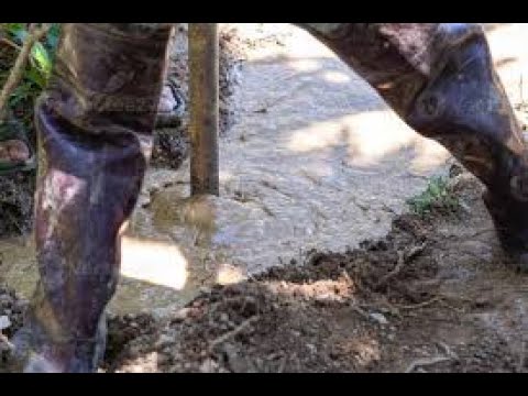 KILIFI BOREHOLE WATER PROJECT INITIATIVE (KENYA)