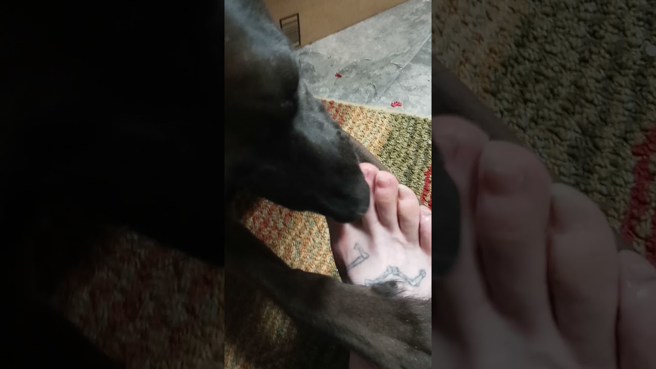 KillerCumManToe special