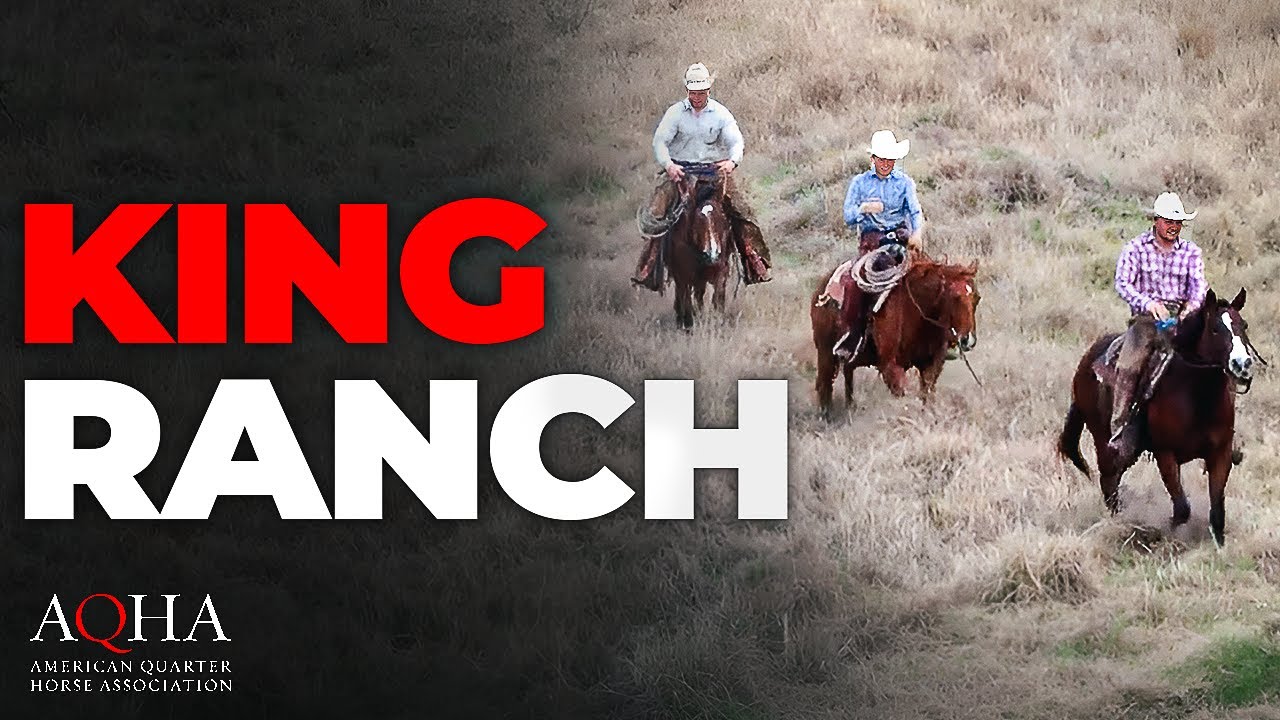 King Ranch Wins Top AQHA Honor!