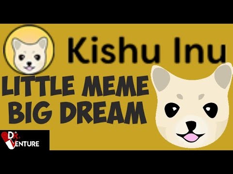 Kishu Inu Coin | Little Meme Big Dream!