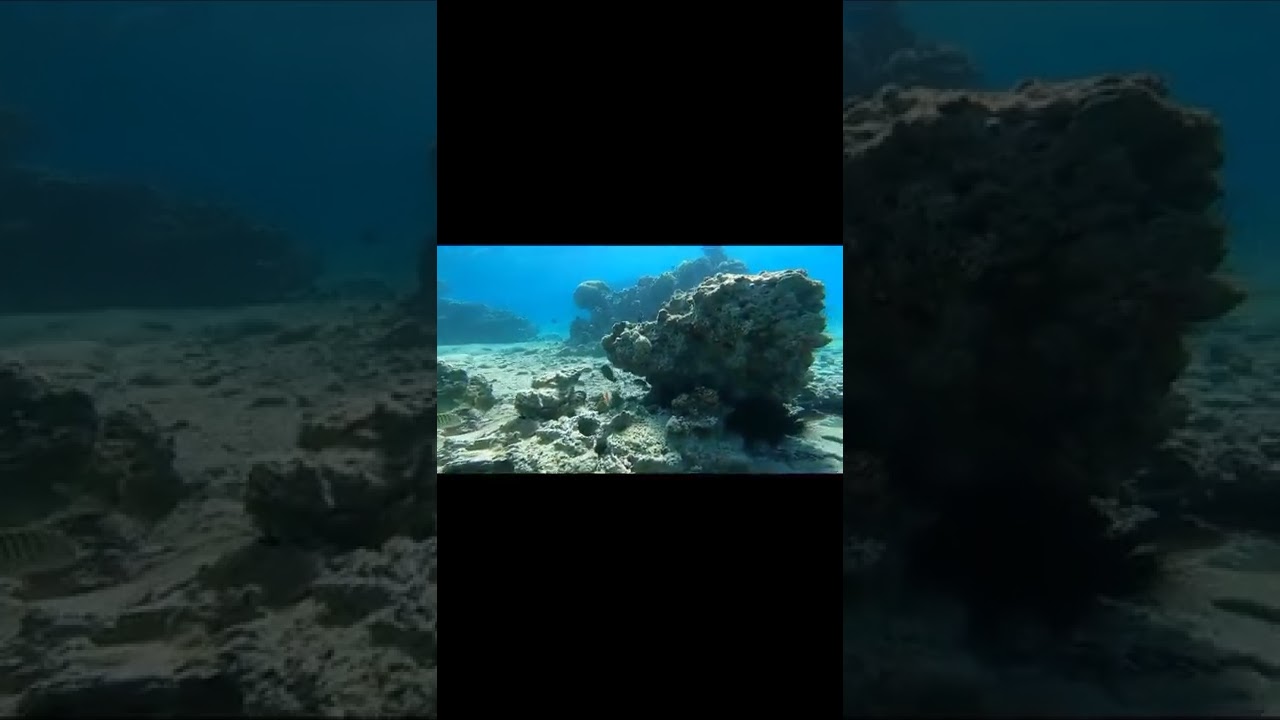 KIZILDENİZ BATIK TANK DALİŞ.Dunyanin en güzel yer altı dalış rotası.