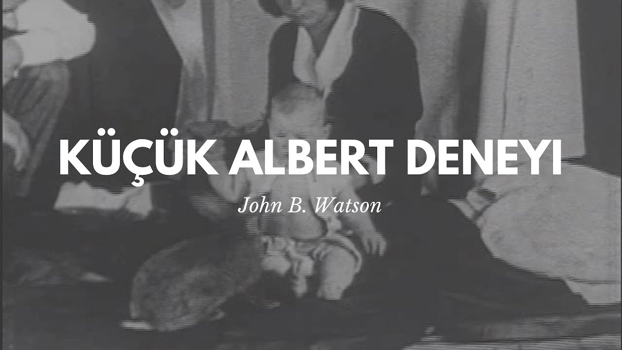 Küçük Albert Deneyi (Türkçe Altyazı)