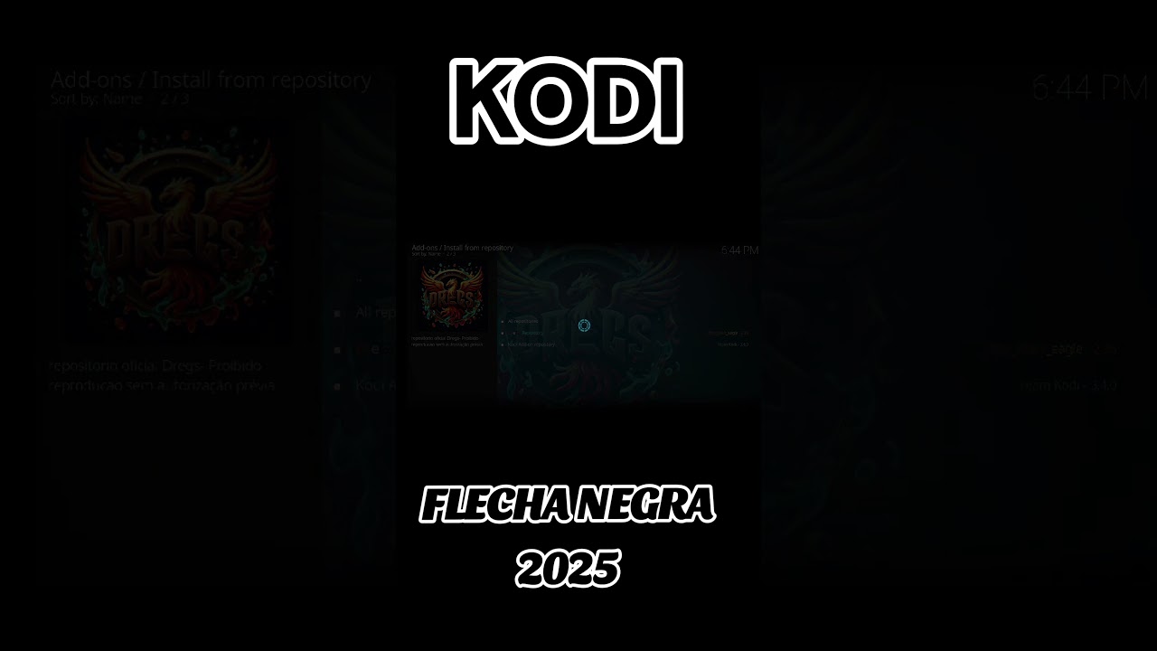 💥KODI - FLECHA NEGRA ADD ON 2025💥