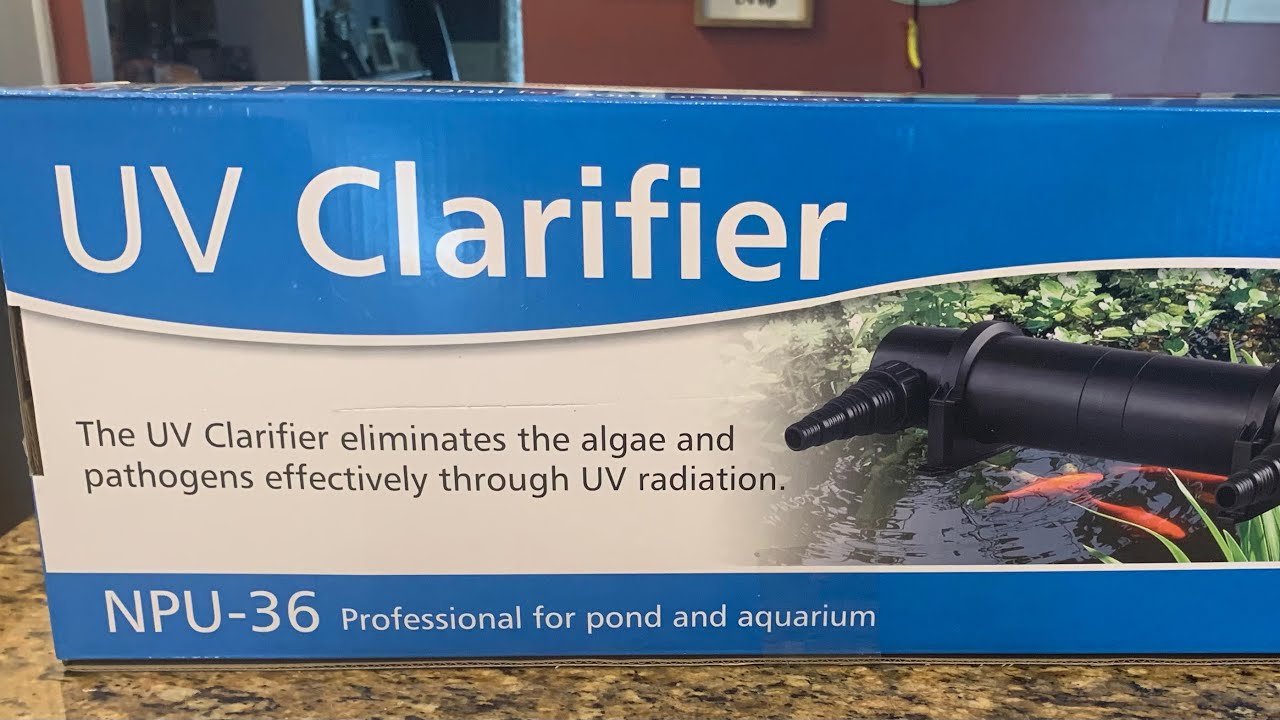 Koi Pond UV light