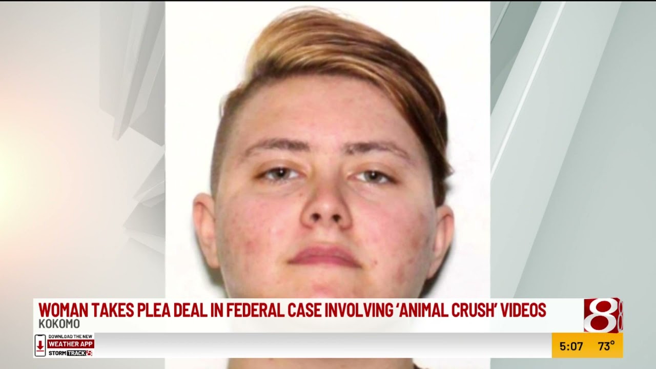 Kokomo woman takes plea deal in federal case involving 
