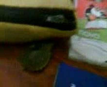 Komando Hilmi Dupbamba Ninja Turtle Show!