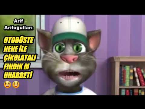 Konuşan kedi tom ile yaşlı nene fındık fikrasi