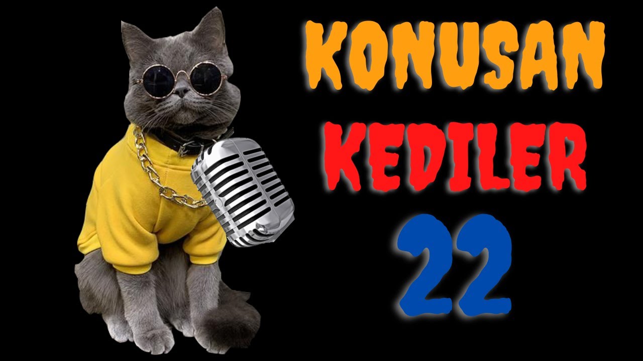 Konuşan Kediler 22 | En Komik Kedi Videoları | Dublaj Kedi