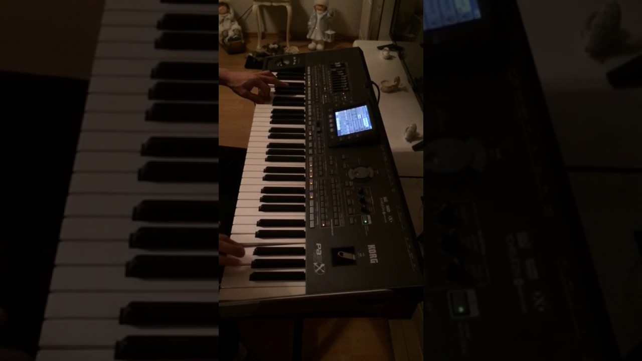 Korg x 3 Halay zurna