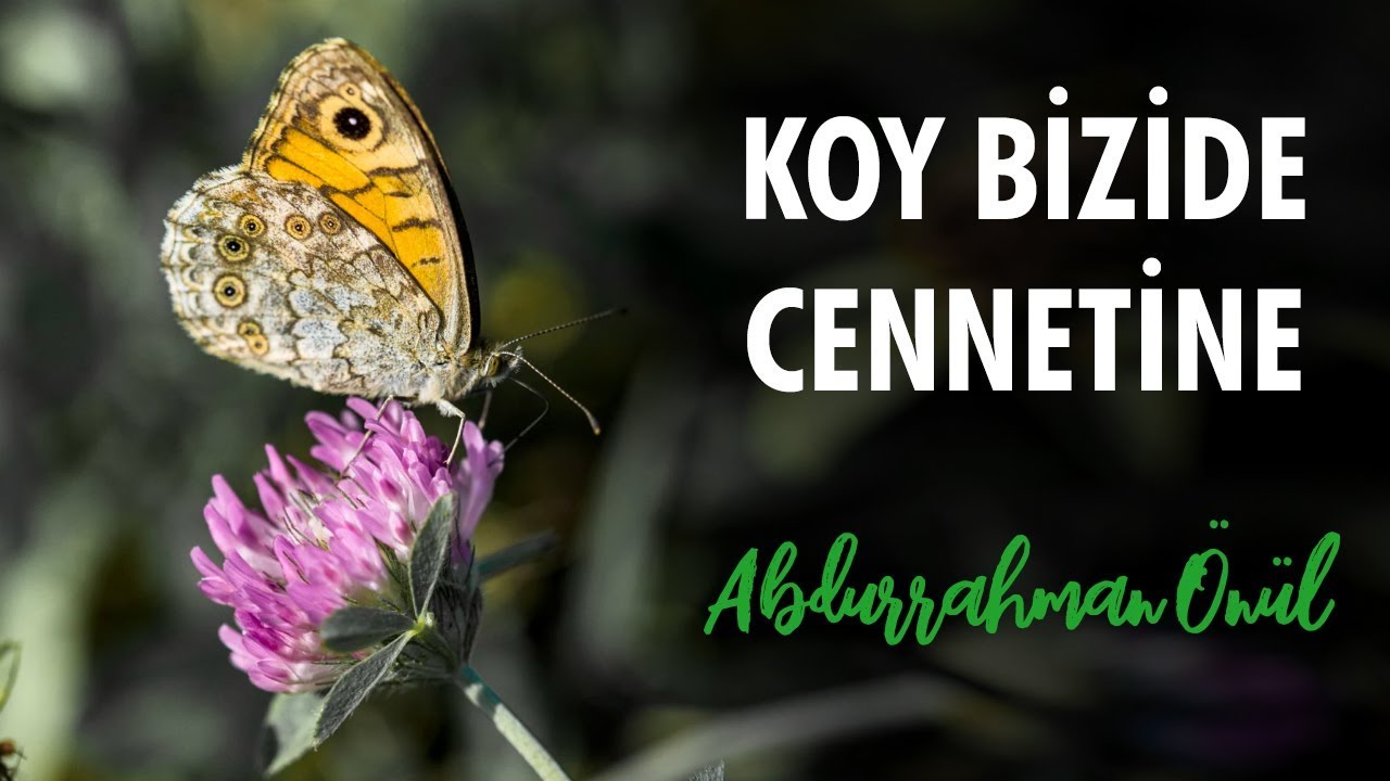 Koy Bizide Cennetine | Abdurrahman Önül - İlahi
