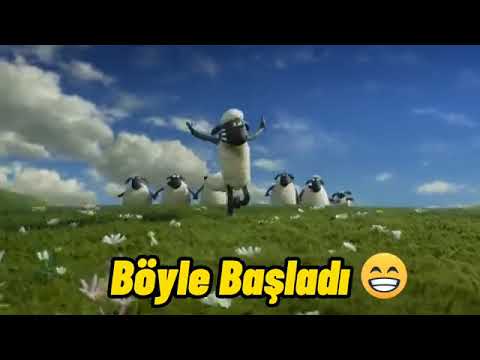 Koyun Shaun Böyle Başladı Böyle Bitti🤯😔