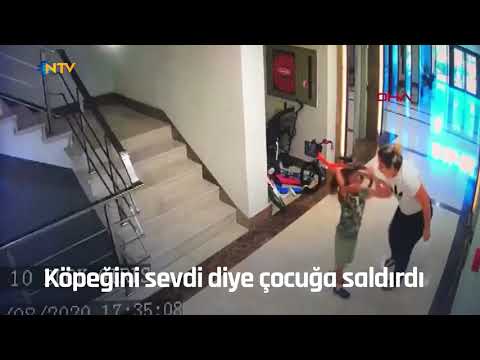 Köpeğini sevdi diye çocuğa saldırdı