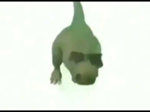 Köpek Ağlama Sesi Remix (Dino Edition)