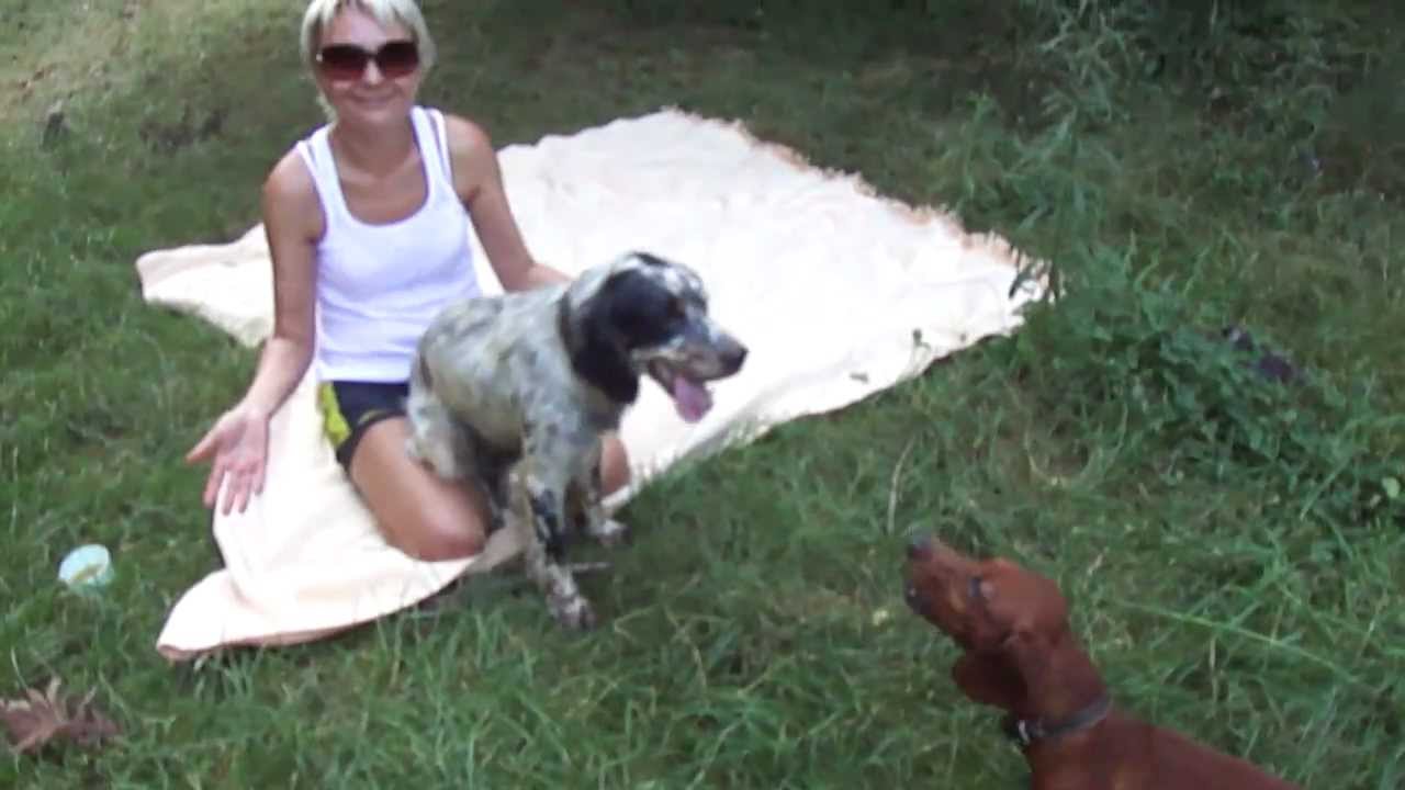 Köpek kadını kıskanırsa.