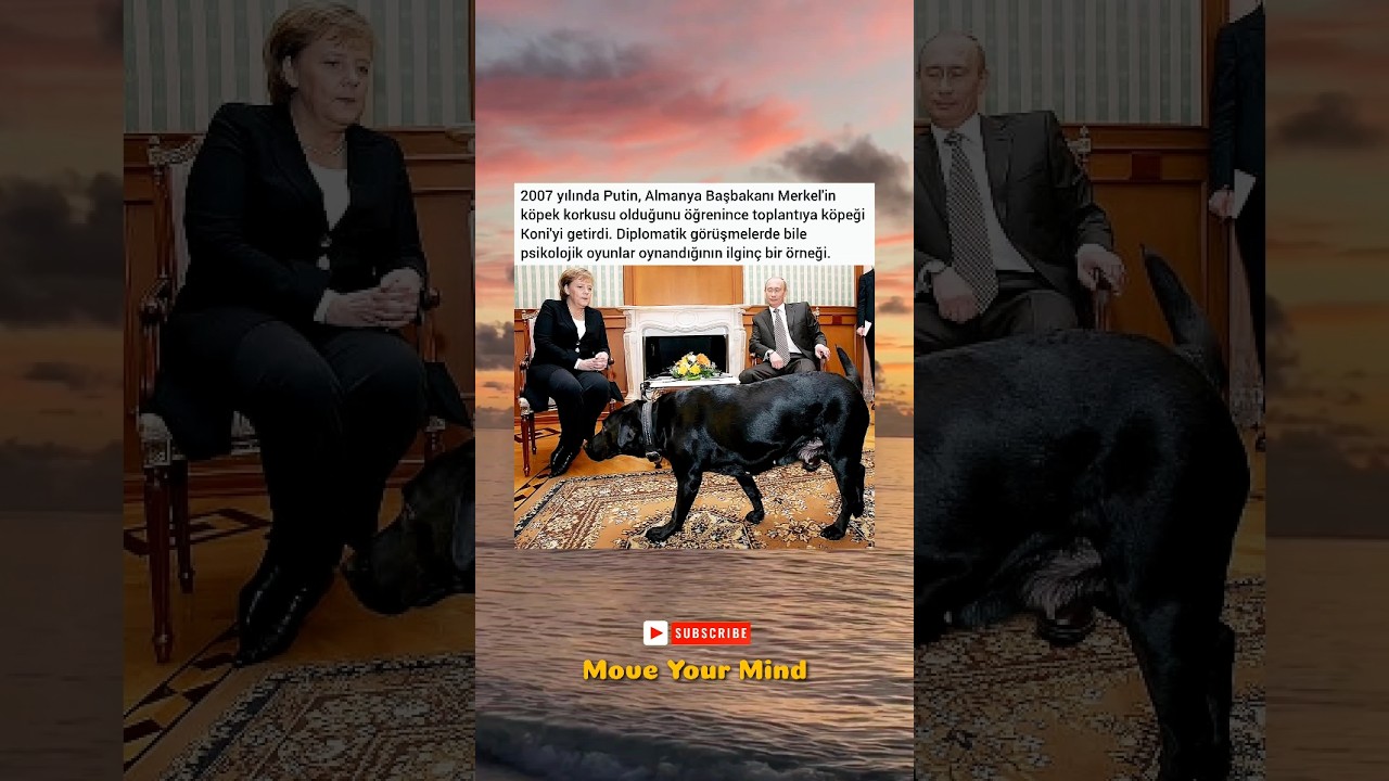 Köpek korkusu olduğunu öğrenince bunu kullandı 😮