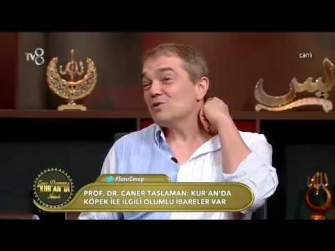 Köpek olan eve melek girmez mi! Prof  Dr  Caner Taslaman