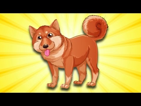 Köpekler Hep Hav Hav Der  - Yeni Çocuk Şarkısı