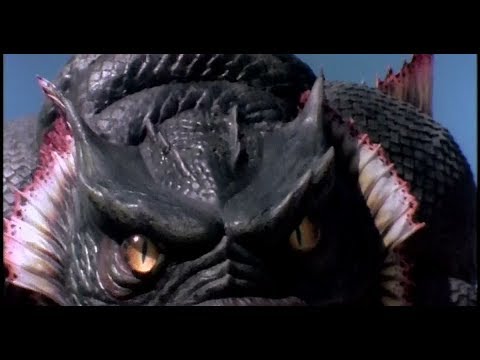 Kraa Tribute