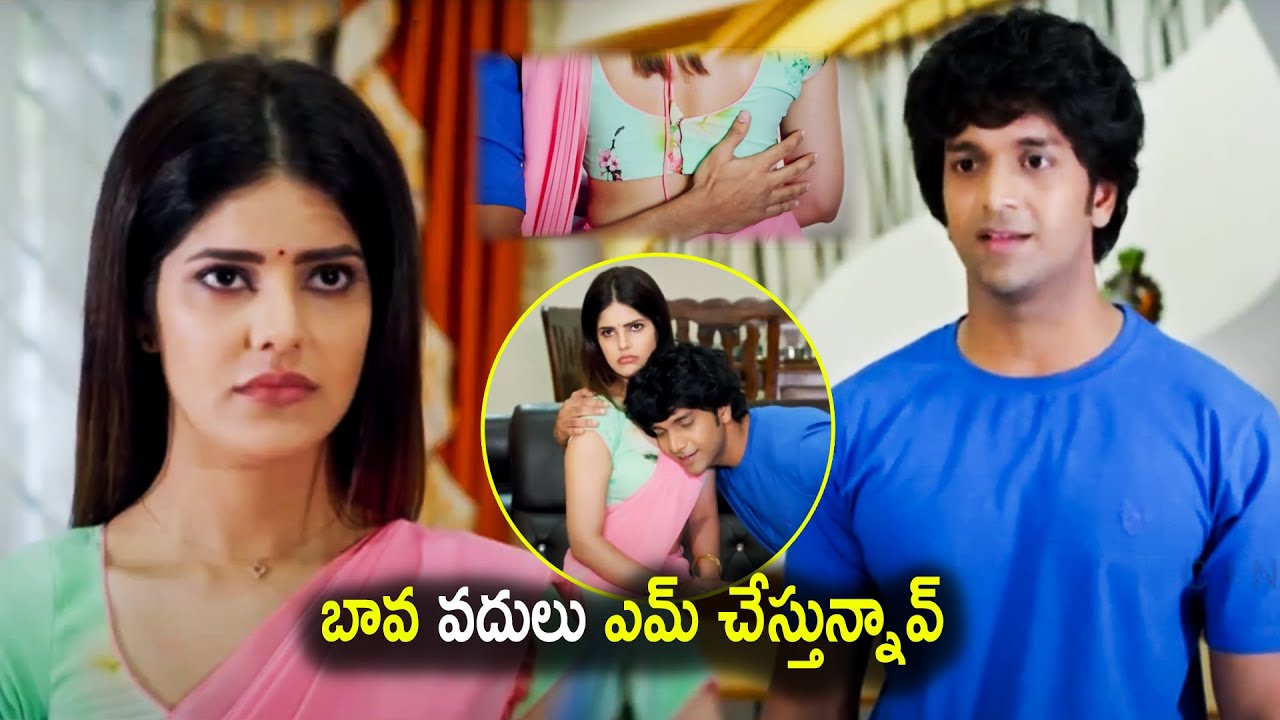 Krishna & Parree Pande Super Hit Move Romantic Scene | Telugu Movies | Cine Mahal