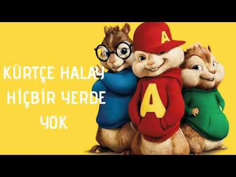 KÜRTÇE HALAY 2020 ALVİN VE SİNCAPLAR BU HALAY ÇOK .