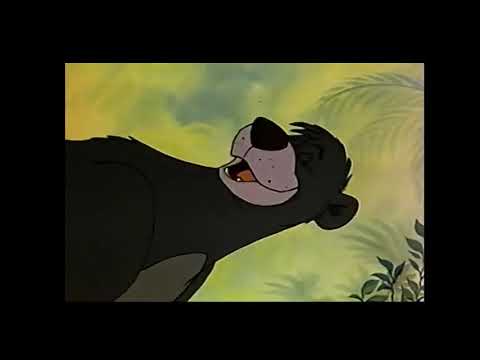 Księga Dżungli - Pod Łapa Cały Świat
