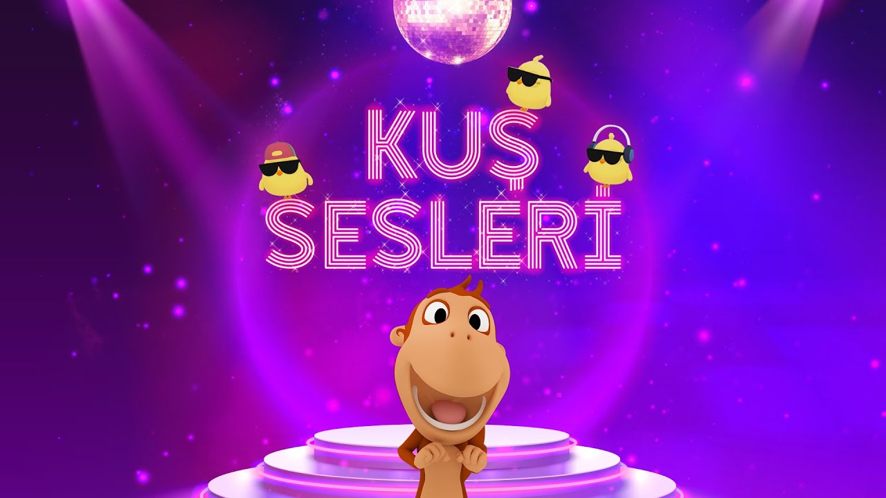 Kuş Sesleri 🐥 YENİ ŞARKI