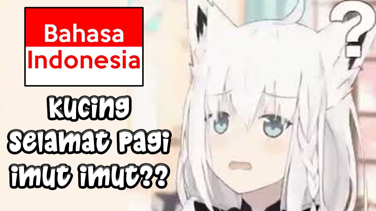 ̶K̶u̶c̶i̶n̶g̶  Minggat 3 Hari, Pulang-Pulang Bisa Bahasa Indonesia
