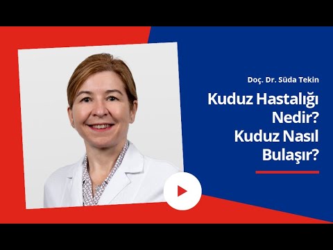 Kuduz Hastalığı Nedir? | Kuduz Nasıl Bulaşır? | Dünya Kuduz Günü