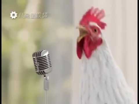 Kukar song
