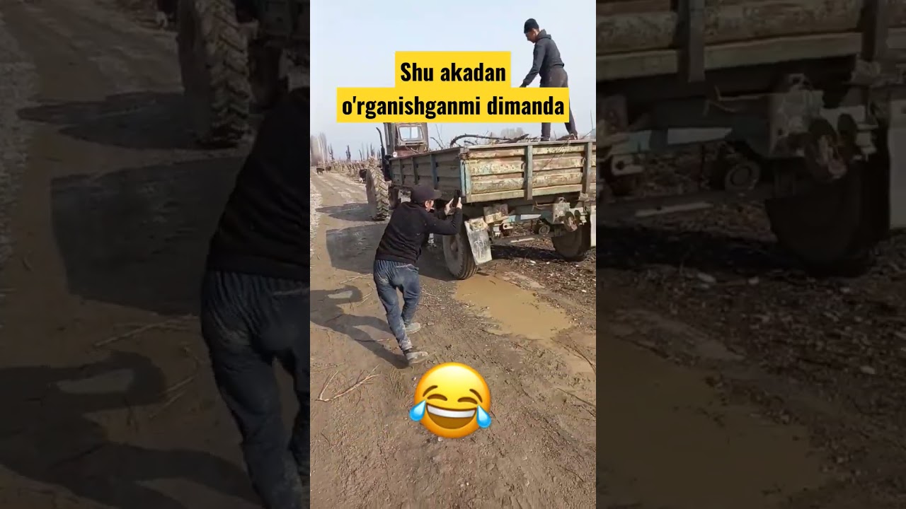 Kulguli video'lar. Obuna bo'lishni unutmang ❤️