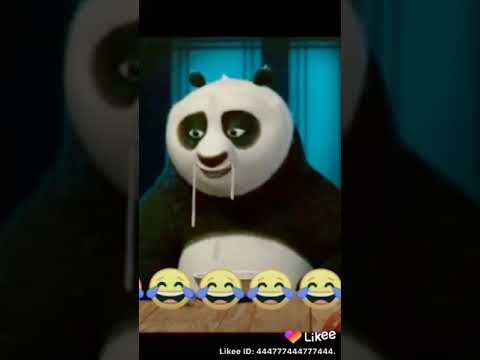 kung fu panda super prikol
