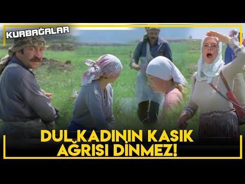 Kurbağalar  - Elmas, Köylü Kadınların Korkulu Rüyası Oluyor!